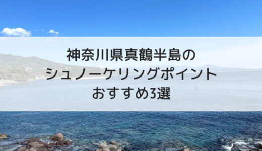 神奈川県真鶴のシュノーケリングポイント　おすすめ3選